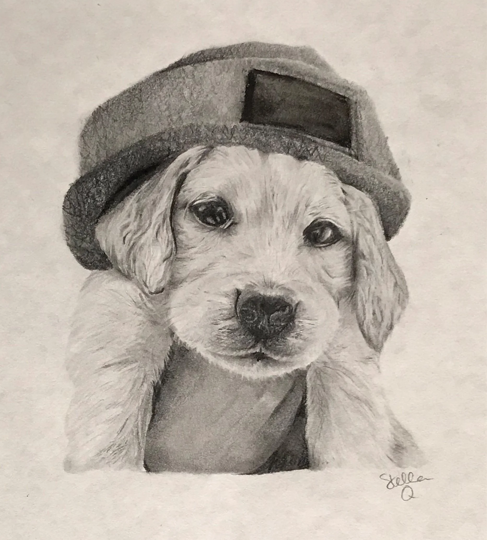 Copy of Puppy 2.JPEG