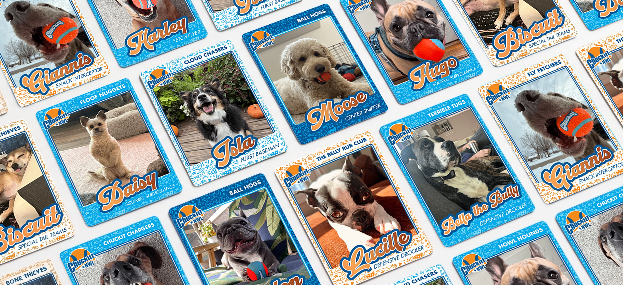 BaseballCardMockups.png