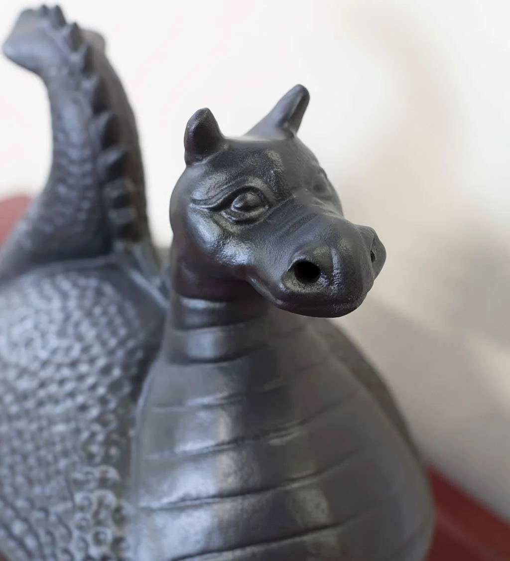 Close Up Stove Dragon Nostrils