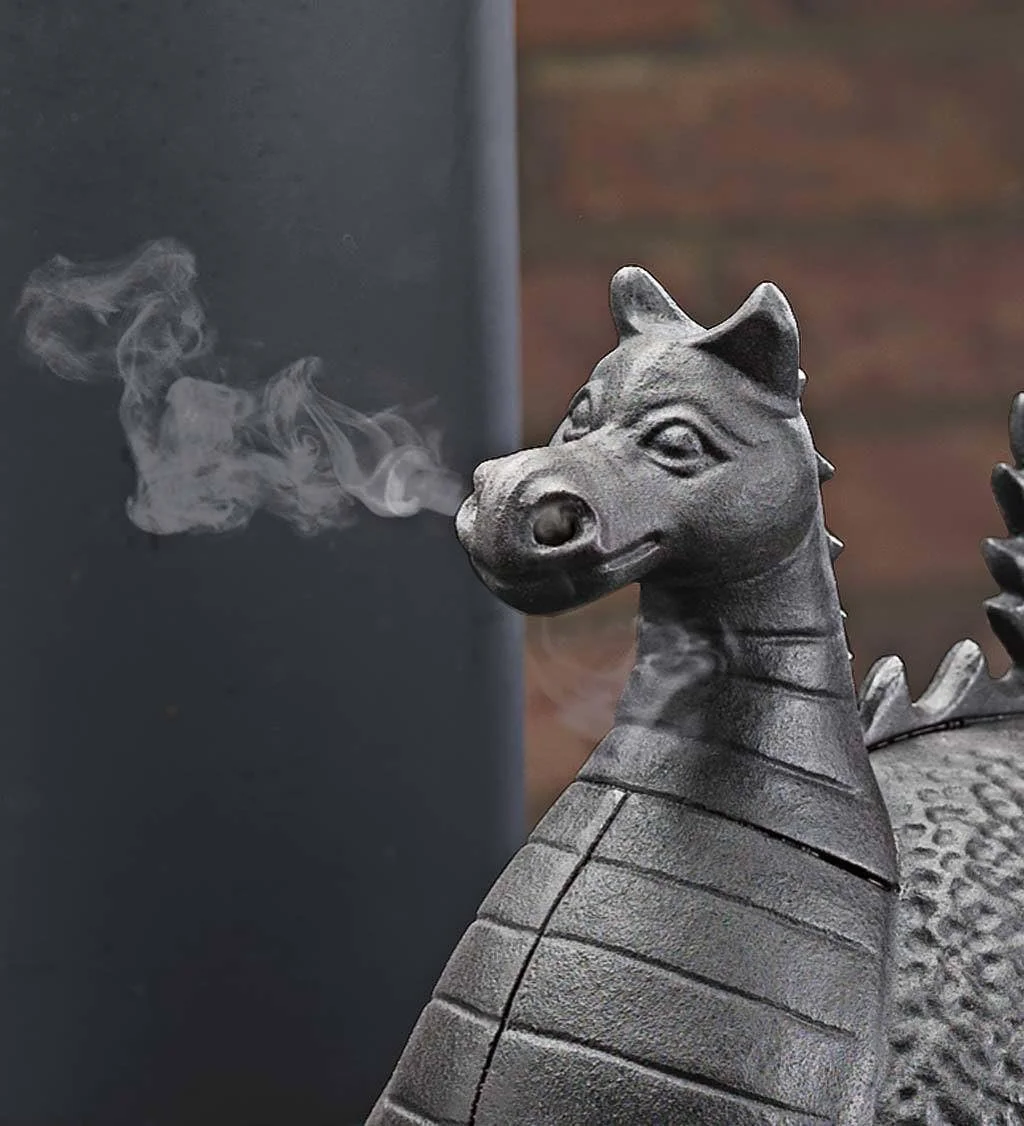 Wood Stove Steamer Pot Dragon