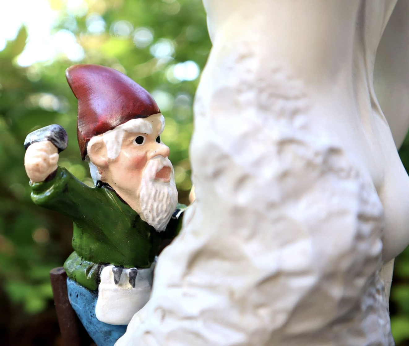 david and gnome 2.png