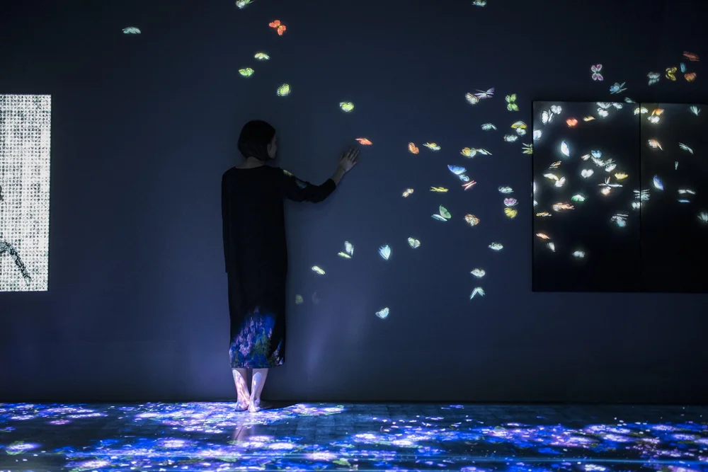 teamLab: Transcending Boundaries, Pace London — Westgreen Construction