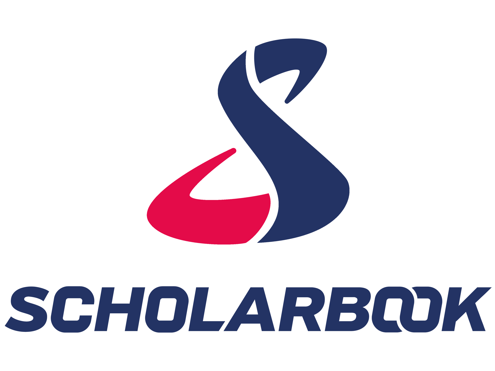 Schulvereinlogo mit blauer und roter Grafik und dem Text 'Schulverein' darunter