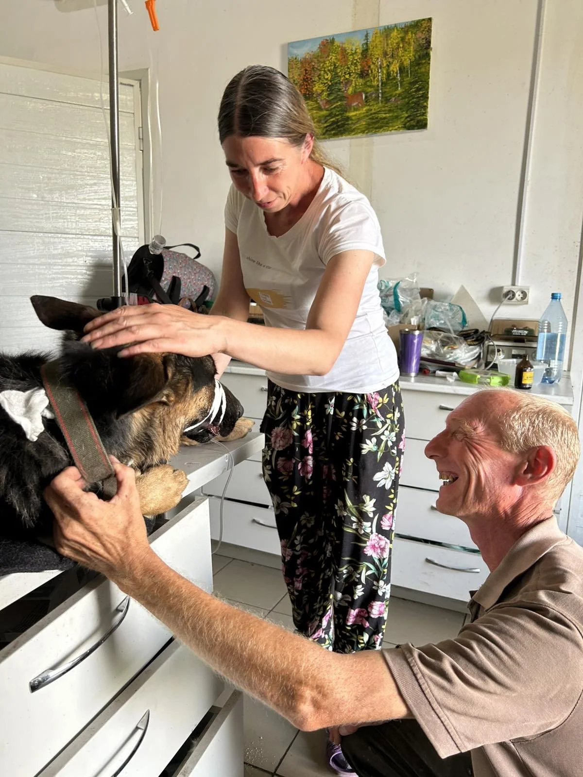 Gewissenlos entsorgt vor dem Tierheim