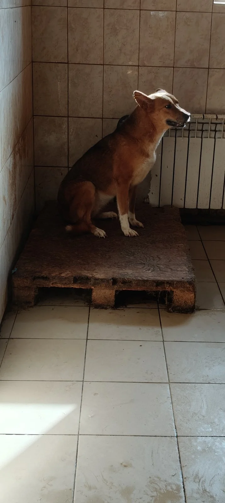 IMG-17a9dfcffca18d7f08f7a4bdb37d94d5-V.jpg