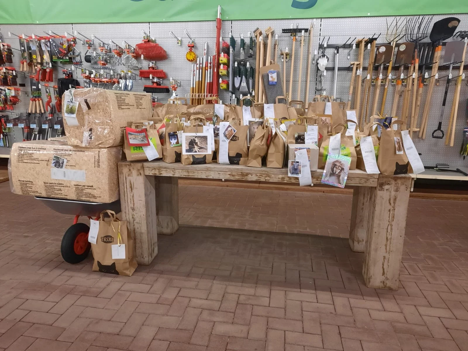 Weihnachtsaktion für unsere Frostfellchen bei Blumen Risse in Kohlscheid 