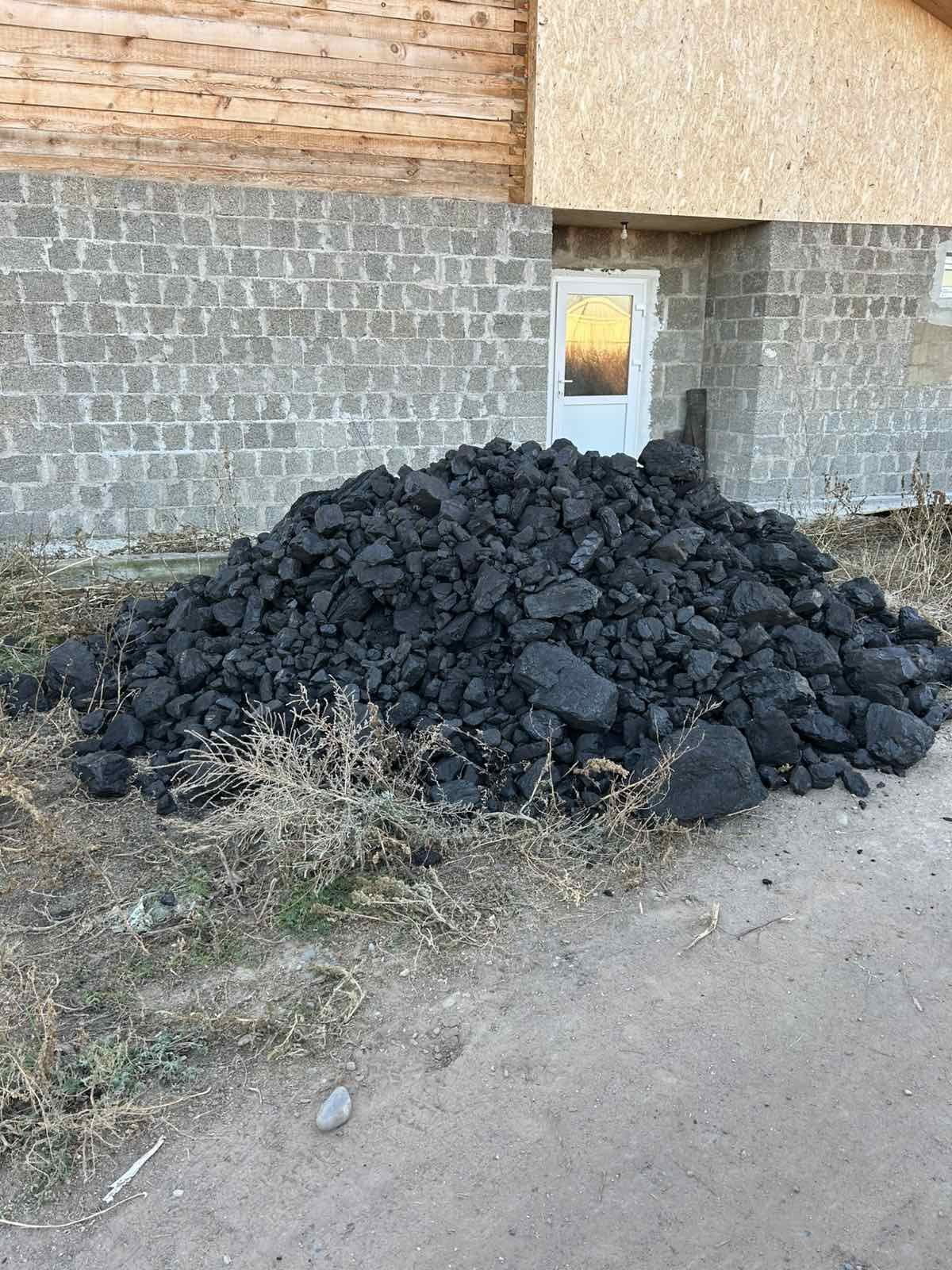 576662059_1134461498901849_1071416894803386204_n.jpg