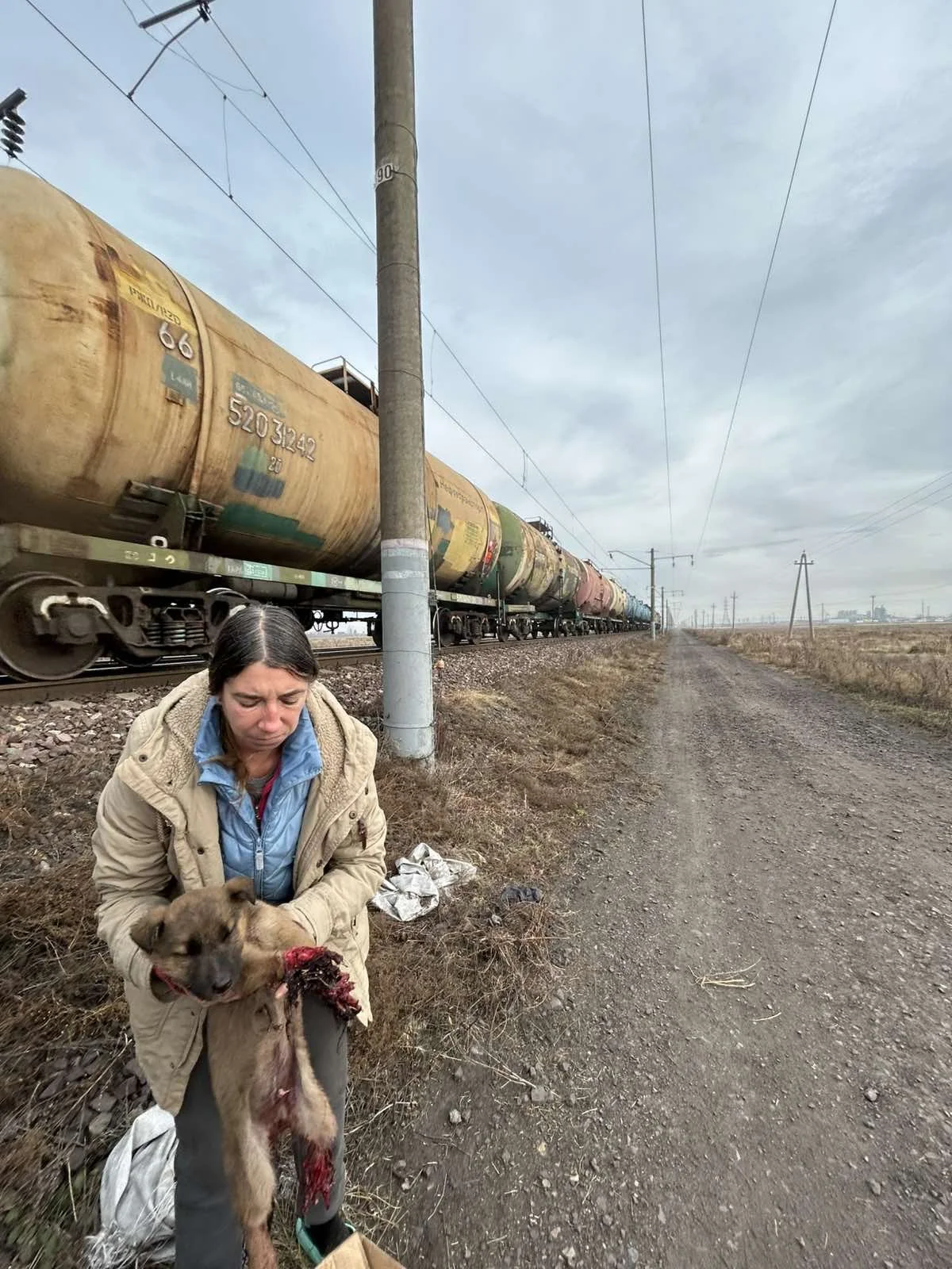 VORSICHT!!!! SCHLIMME BILDER!