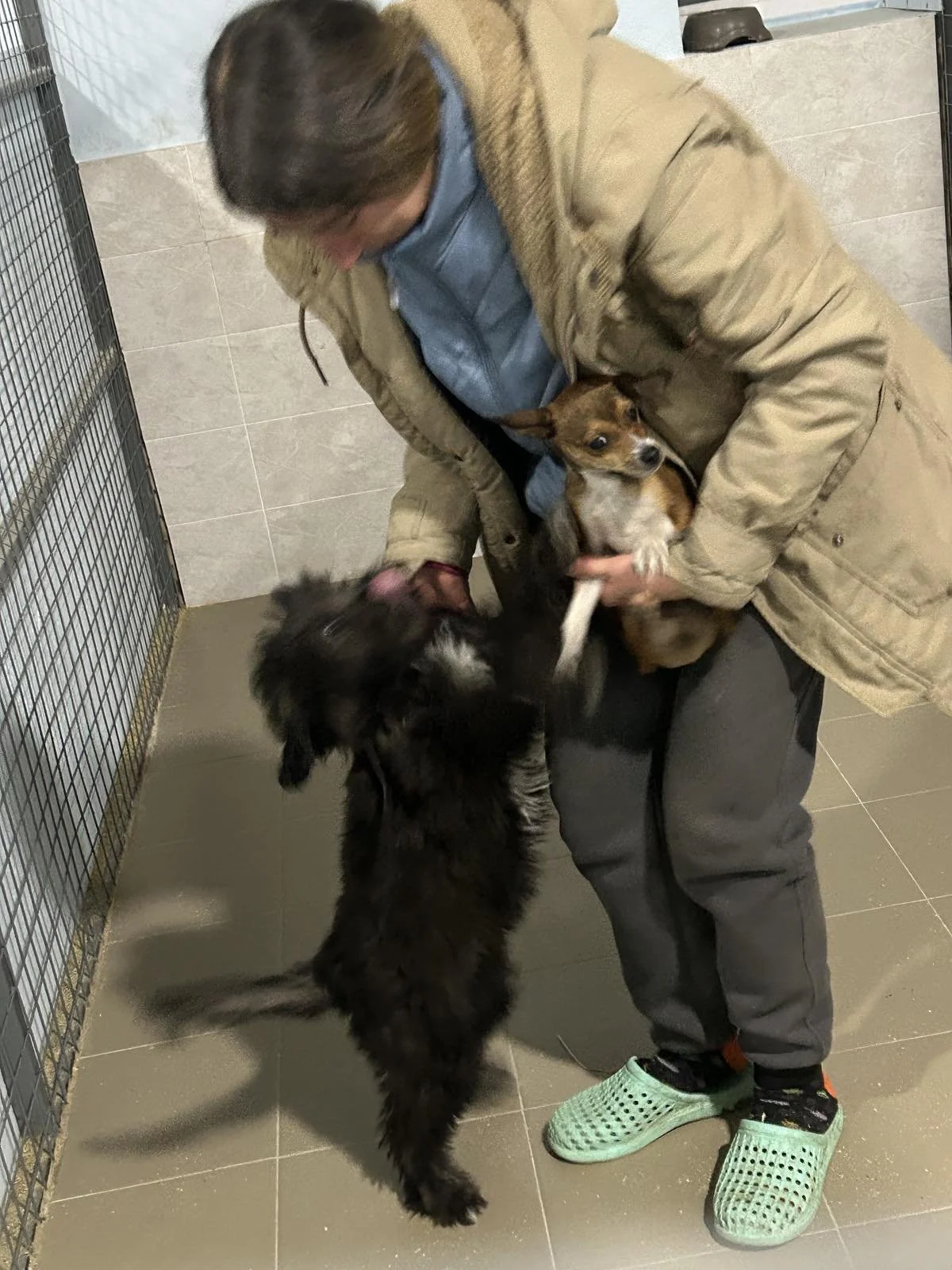 Täglich neue Notfellchen - wir platzen aus allen Nähten :-(