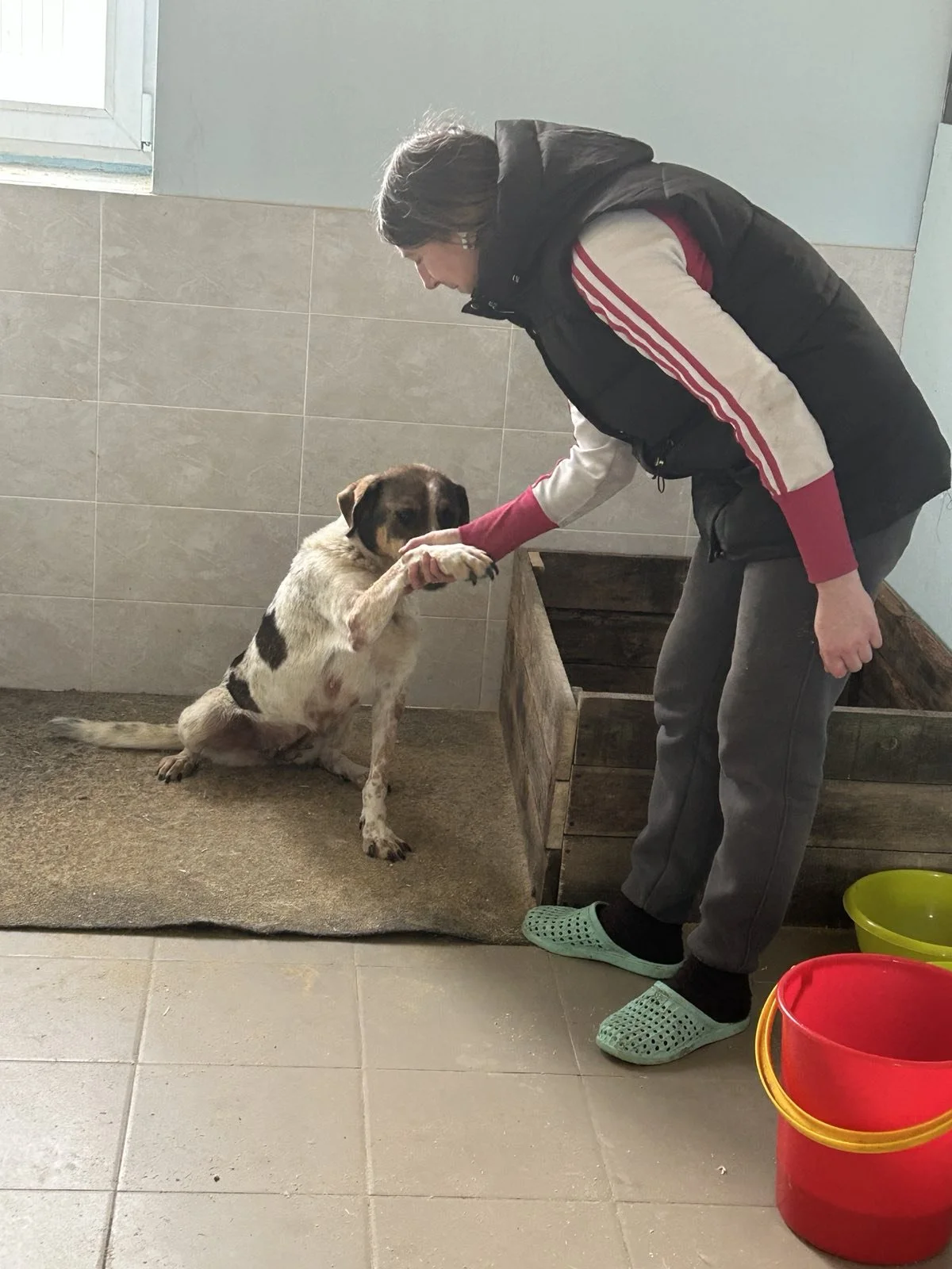 Rutscht gut in ein gesundes &amp; glückliches Jahr 2026 