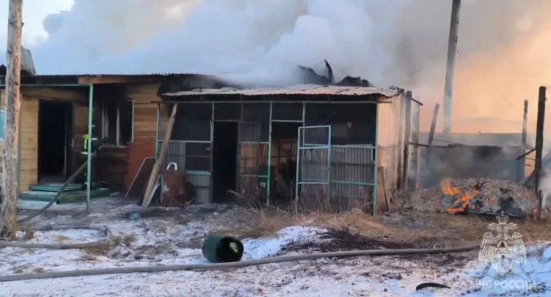 Alles verloren……. :-(