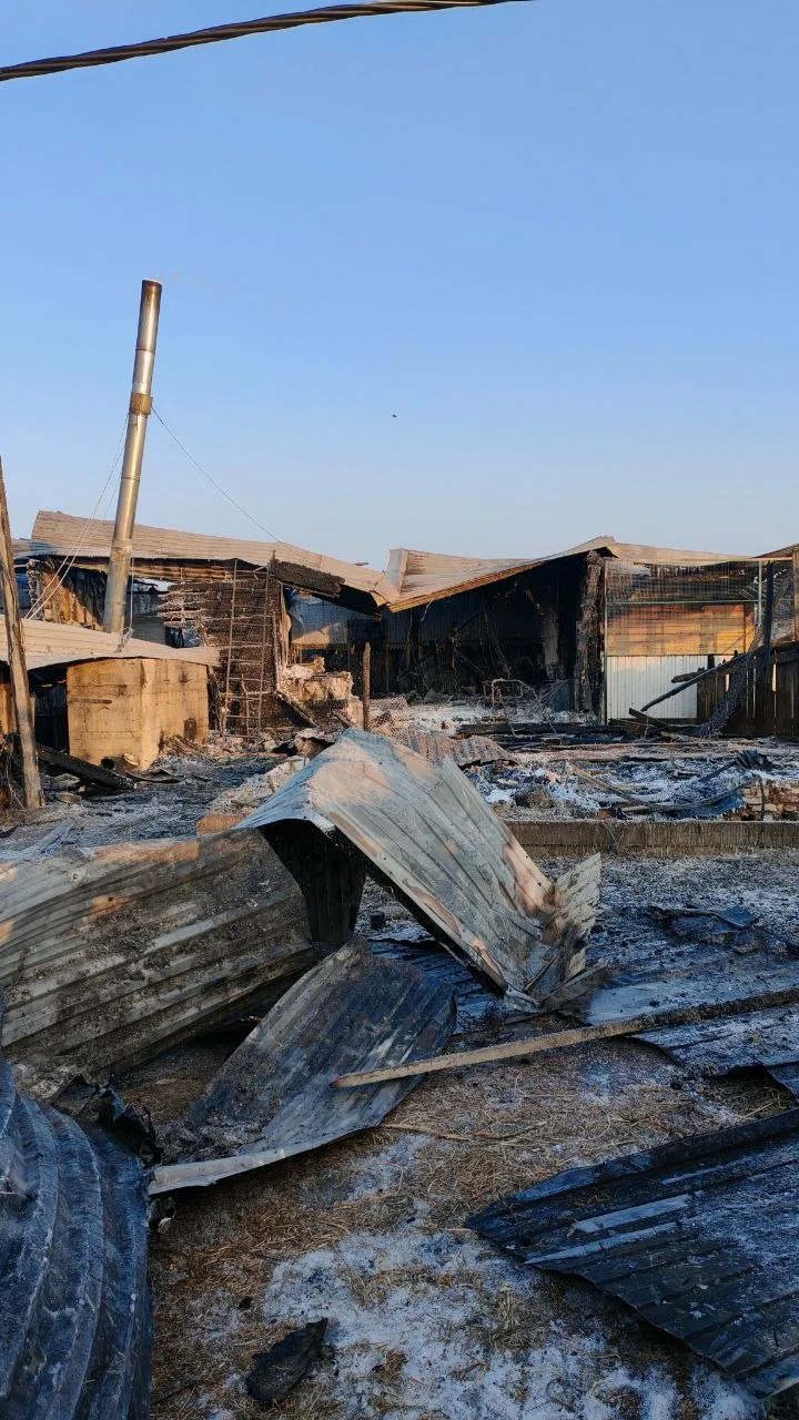 Die, die sowie nie etwas hatten, sind jetzt am Ende