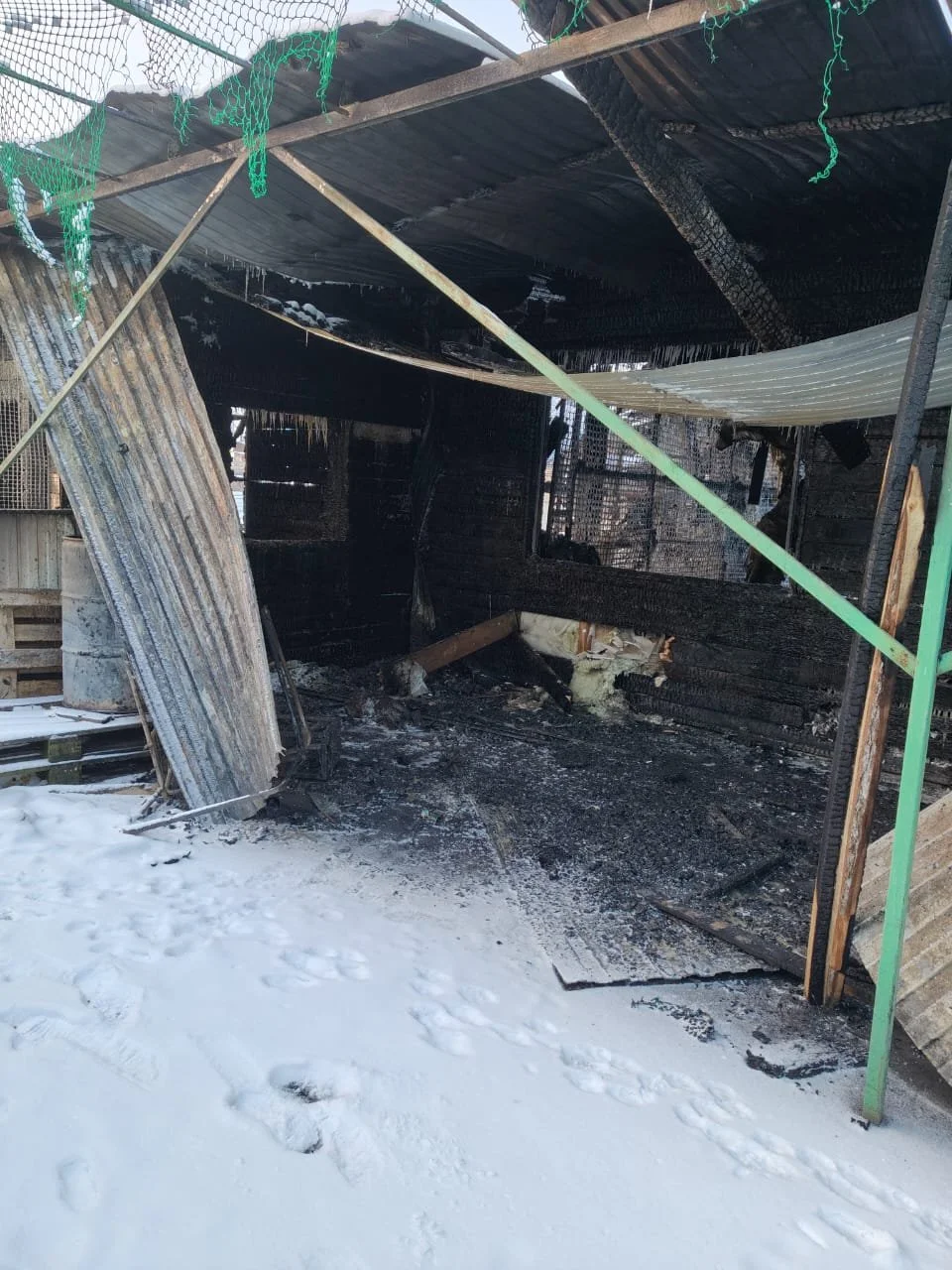 Den furchtbaren Schrecken täglich vor Augen