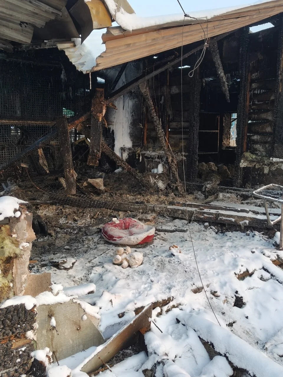 Traurige Überreste….