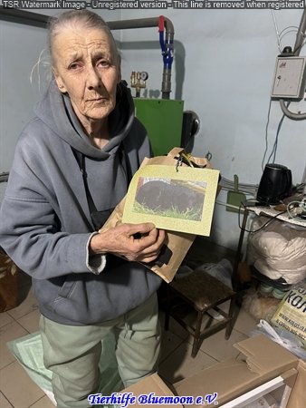 Endlich wieder online……