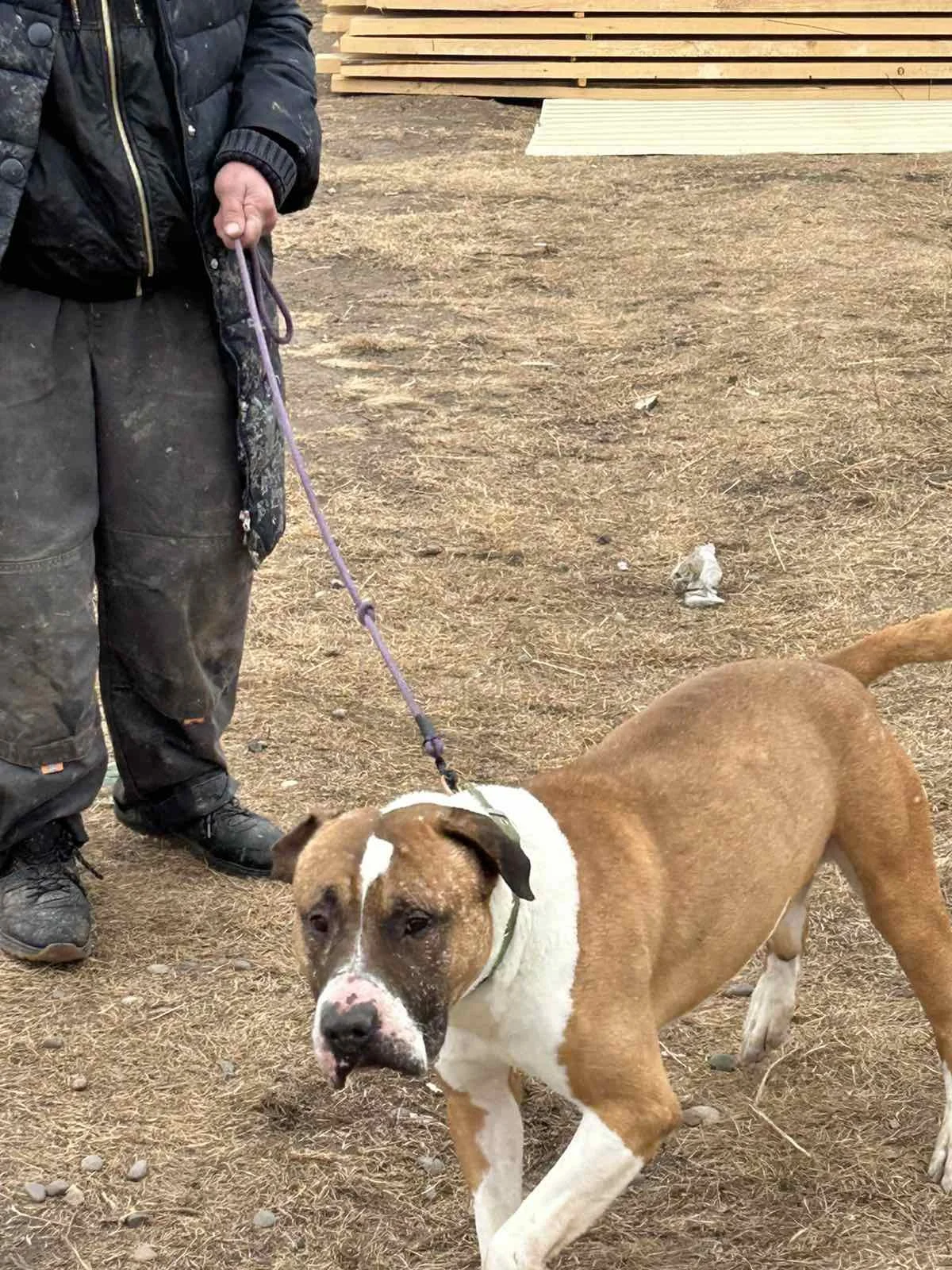 Erinnert Ihr Euch an unseren Herkules?