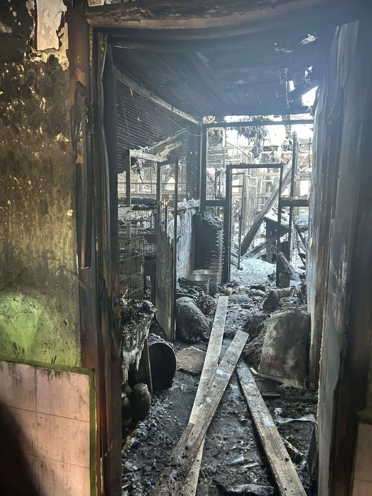 Immer wieder große Trauer 