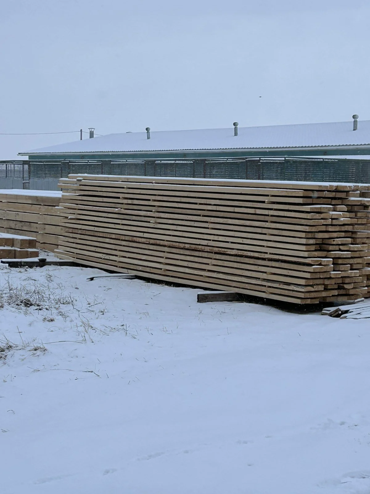 Das Leben geht weiter….