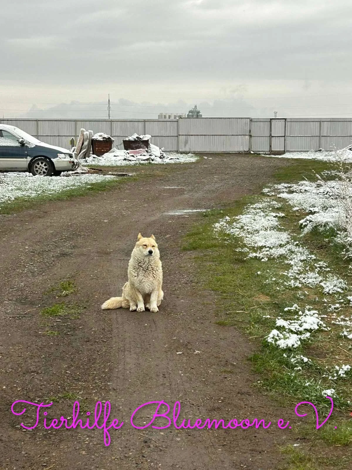Der Winter ist zurück in Abakan….