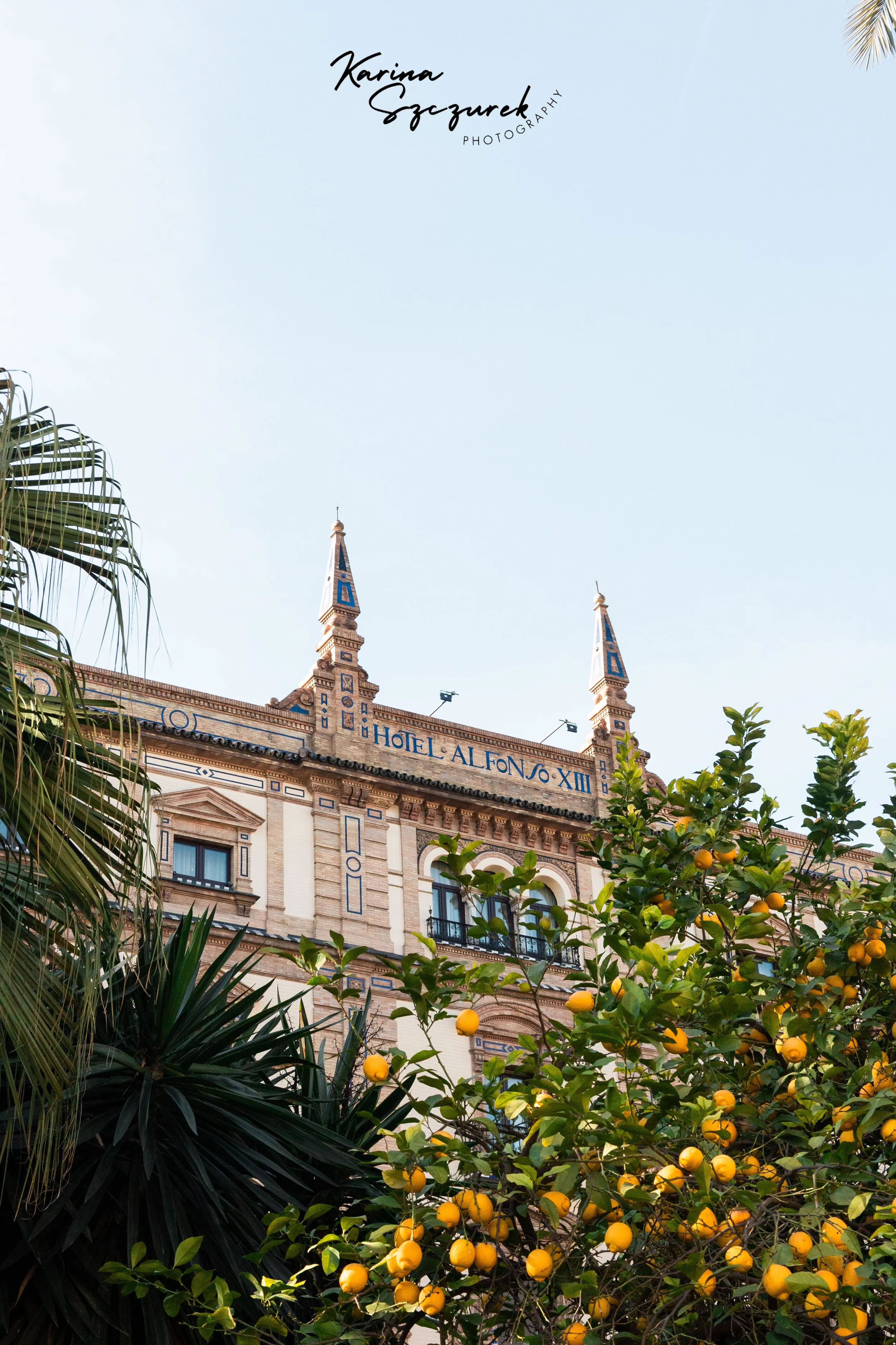 HOTEL ALFONSO