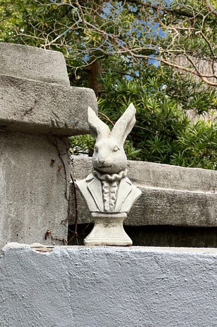 rabbit.jpeg