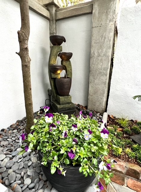 fountain and pansy.jpeg