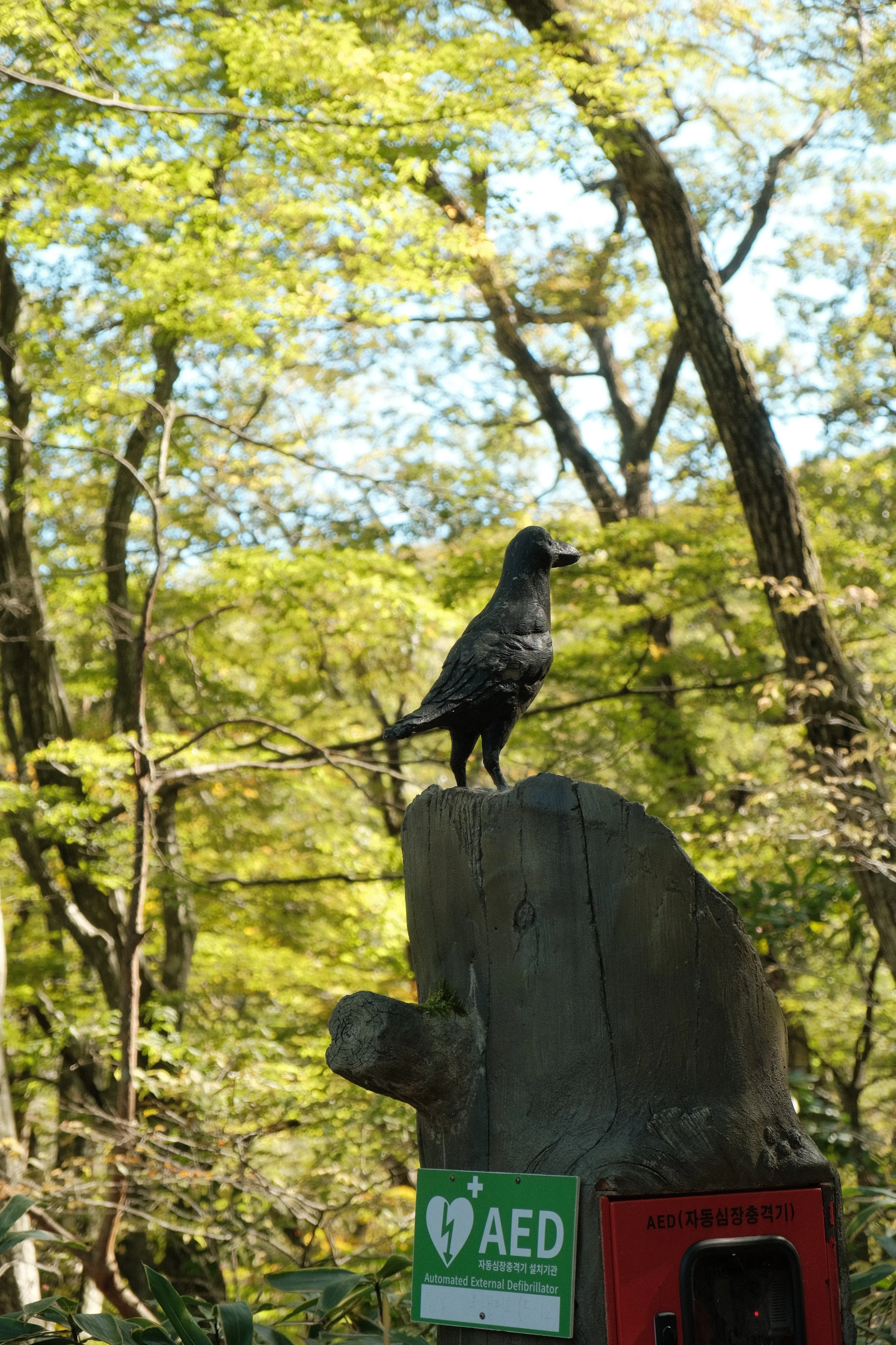 DSCF0675.JPG
