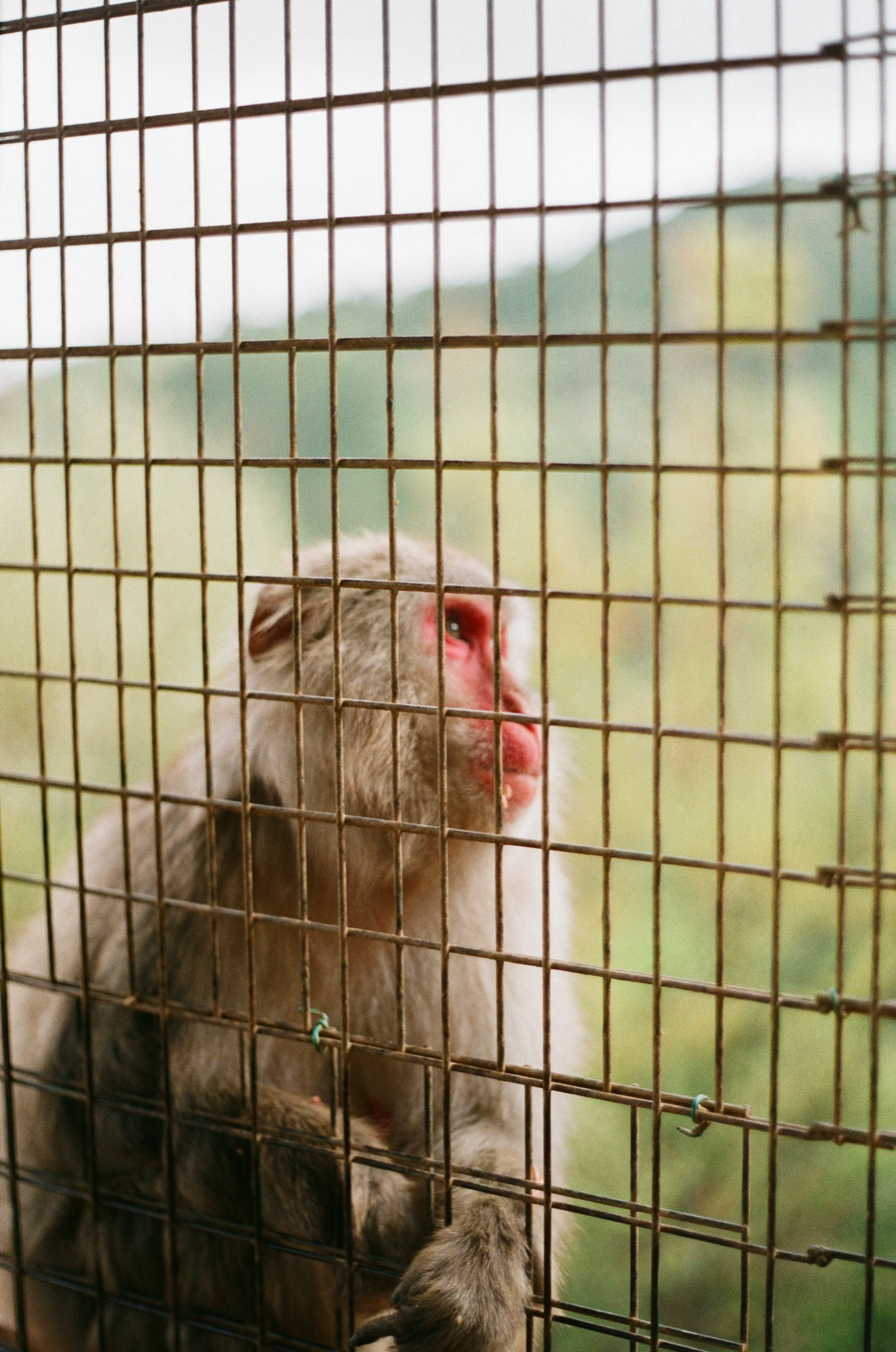 FUJI400_02 2023-04-26 07_48_28.jpg