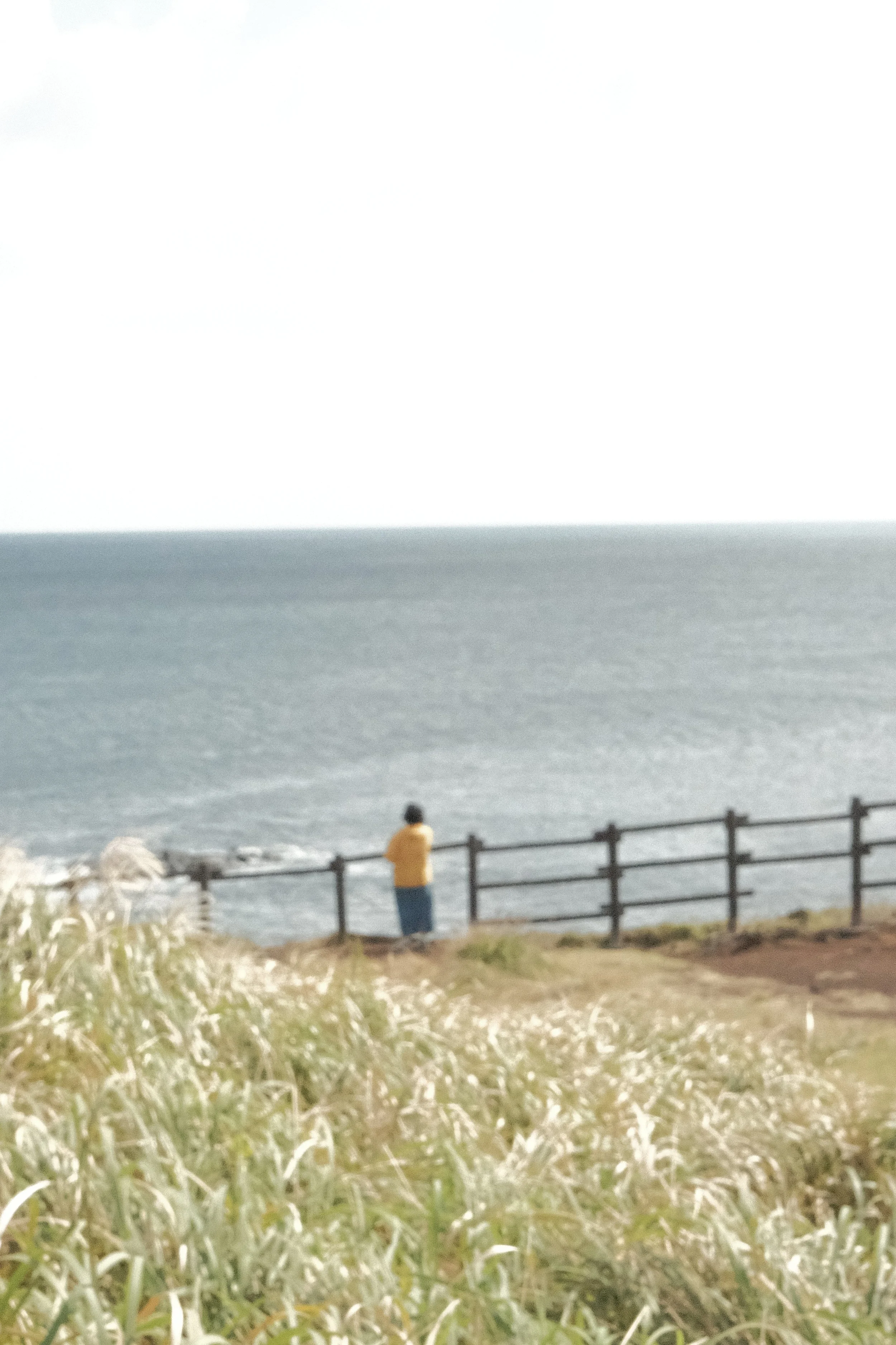 DSCF0115.jpg