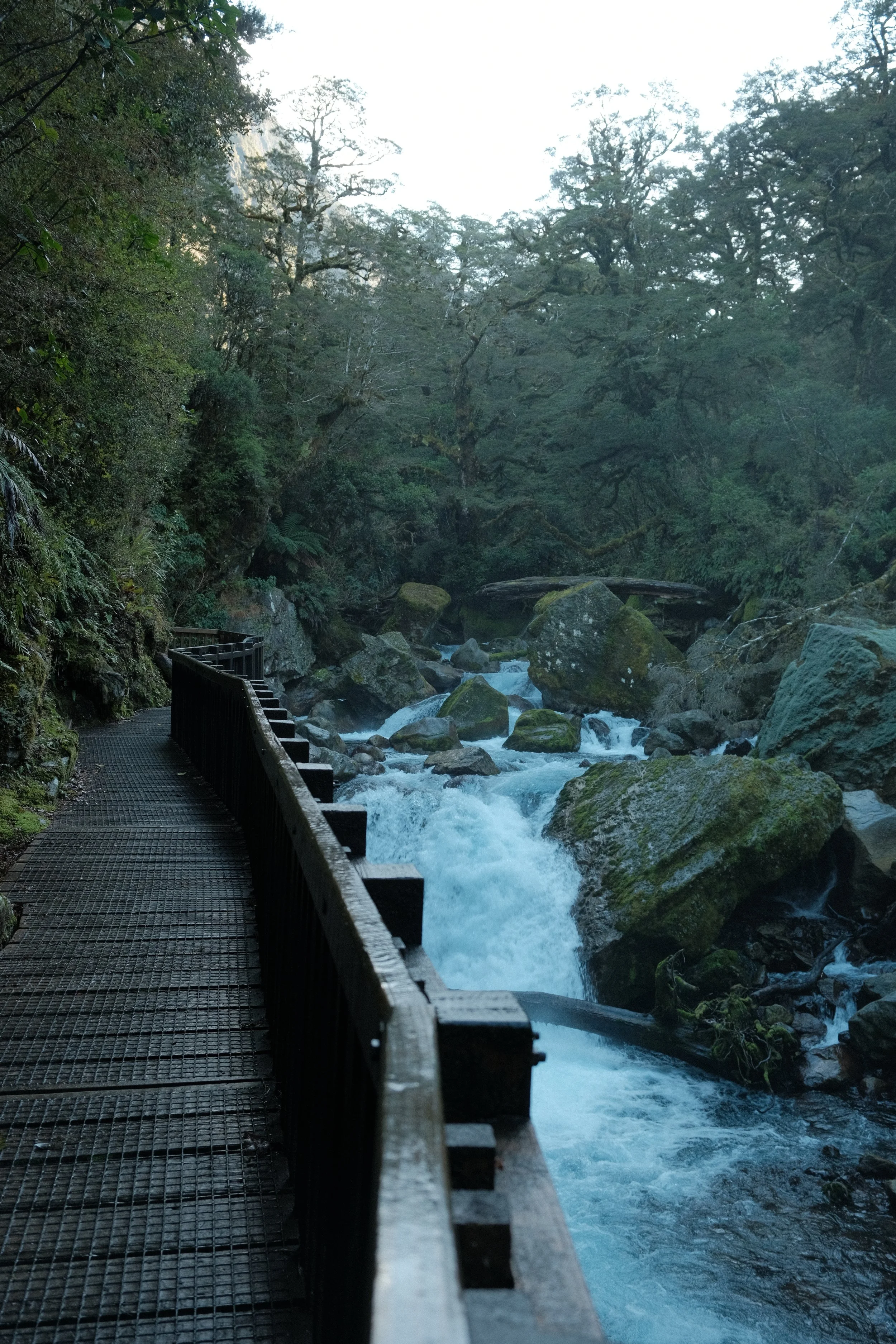 DSCF2763 2.JPG