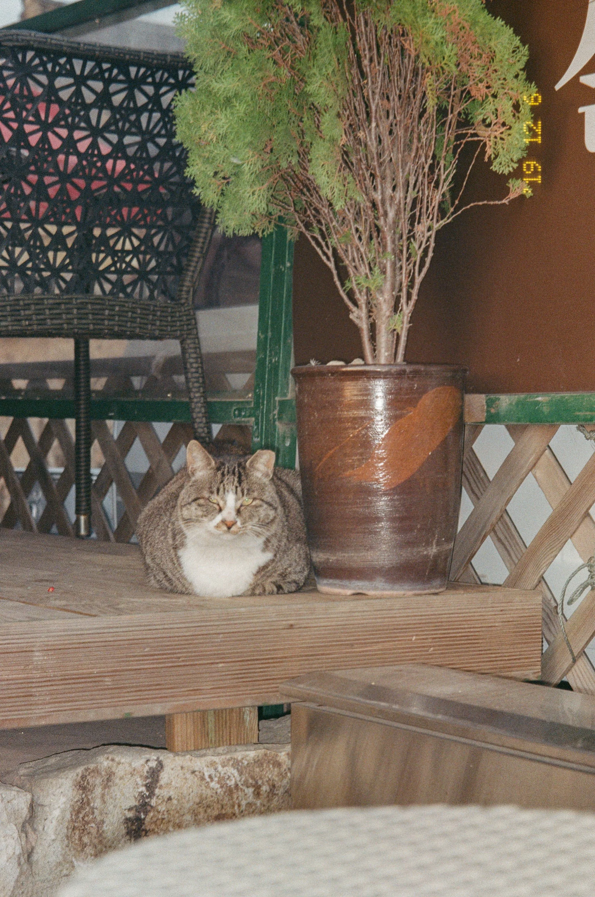 KODAK200-ROLL4_02.jpg