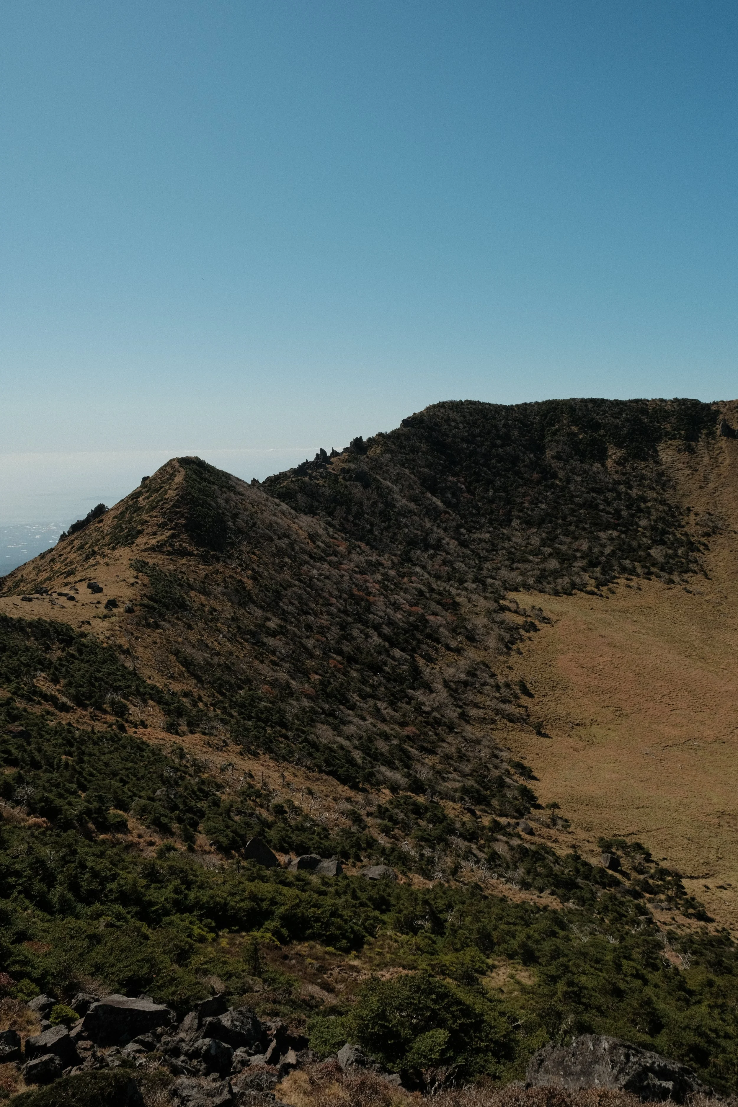 DSCF0812.JPG