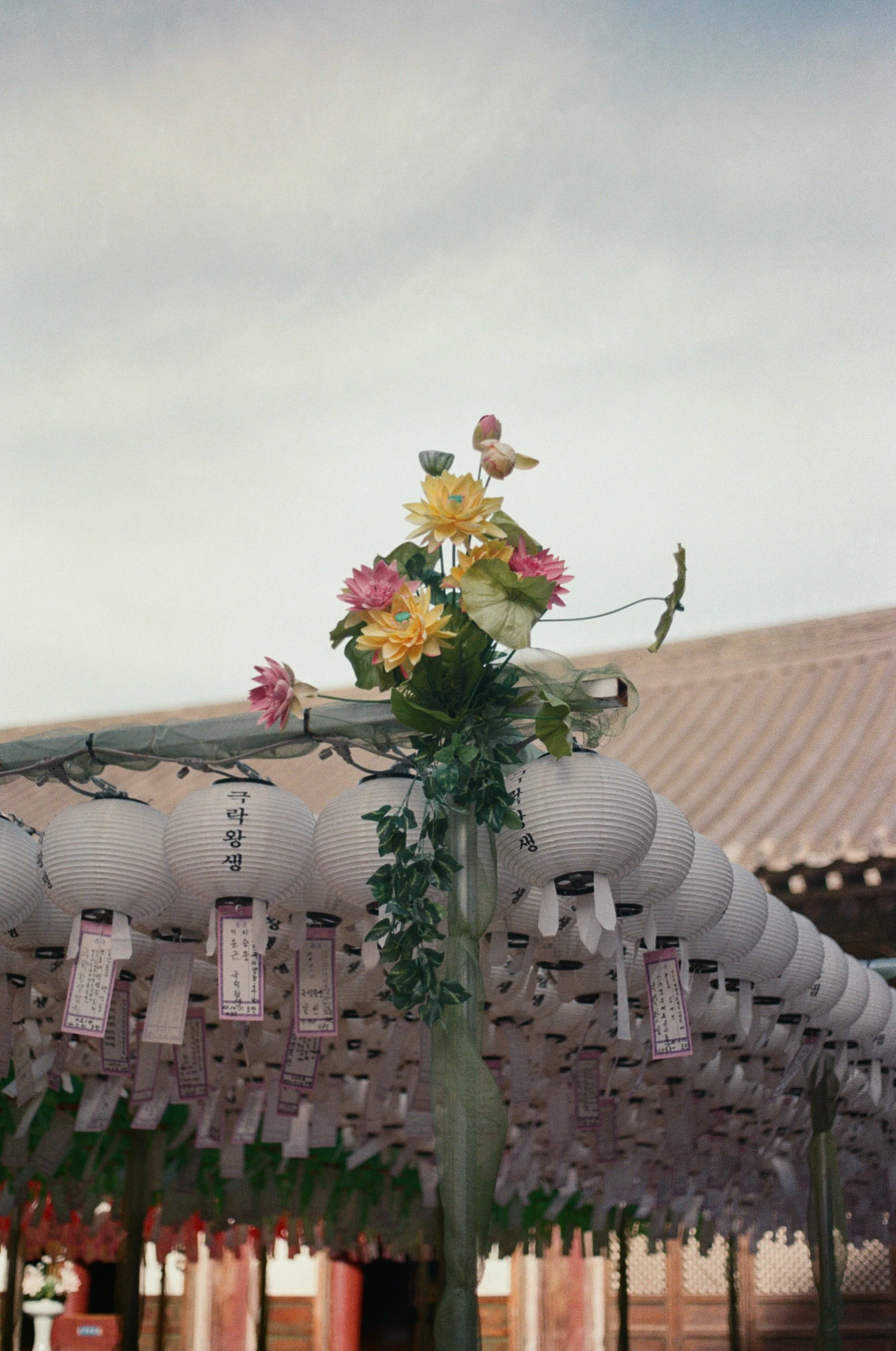 KODAK200-ROLL3_27.jpg