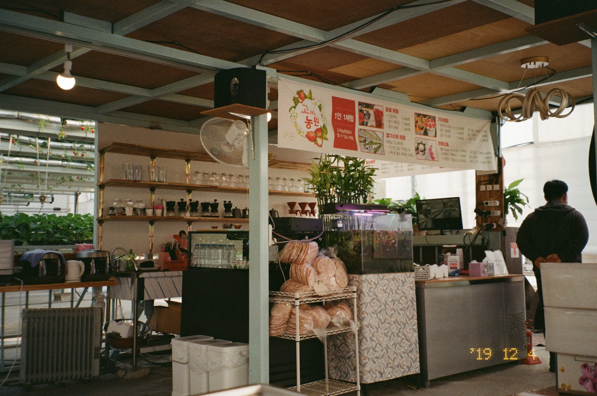 KODAK200-ROLL4_18.jpg