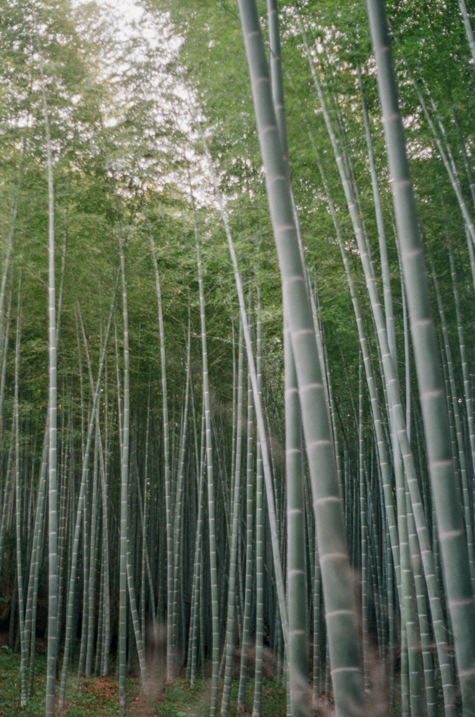 FUJI400_09 2023-04-26 07_48_22.jpg