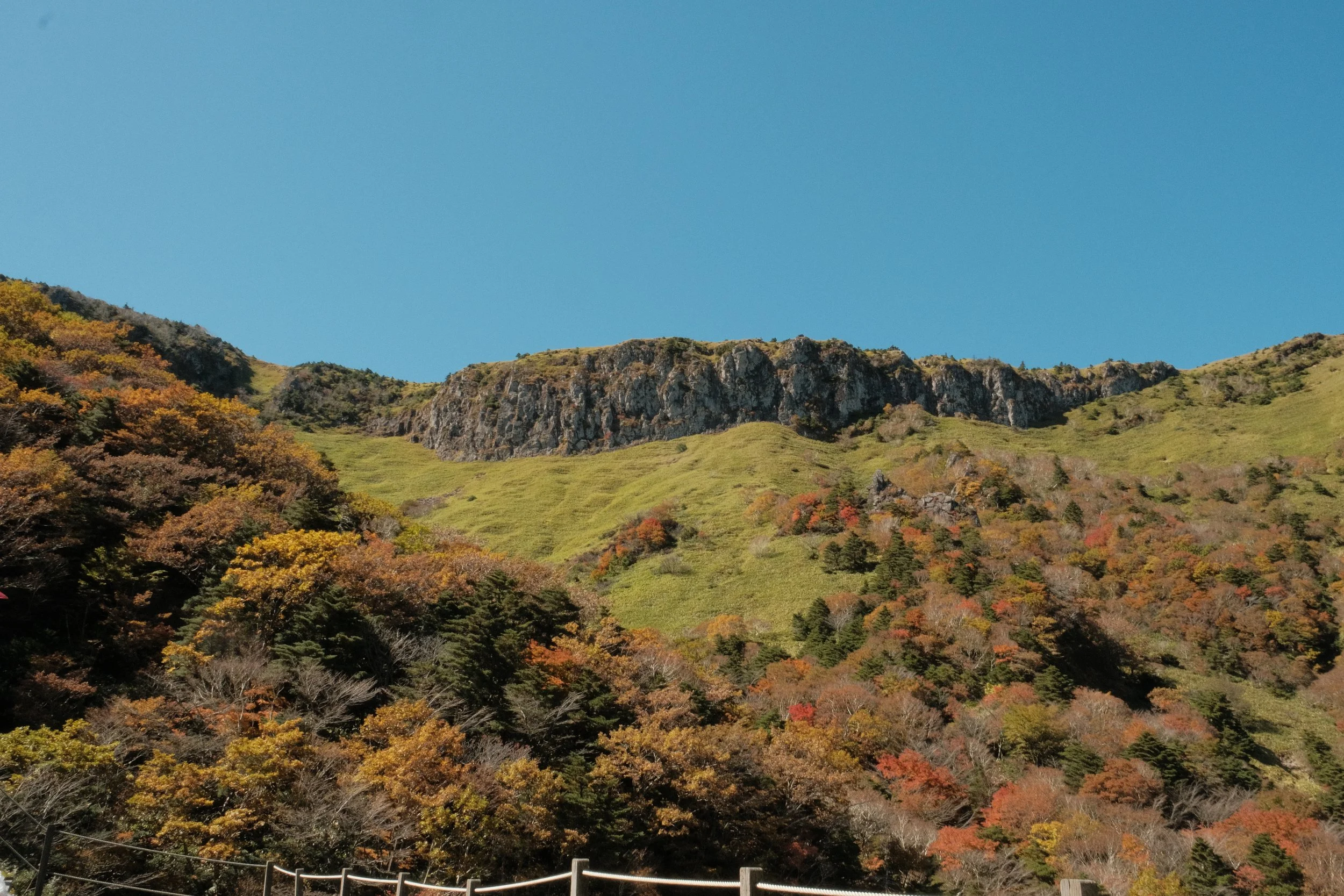 DSCF0763.JPG