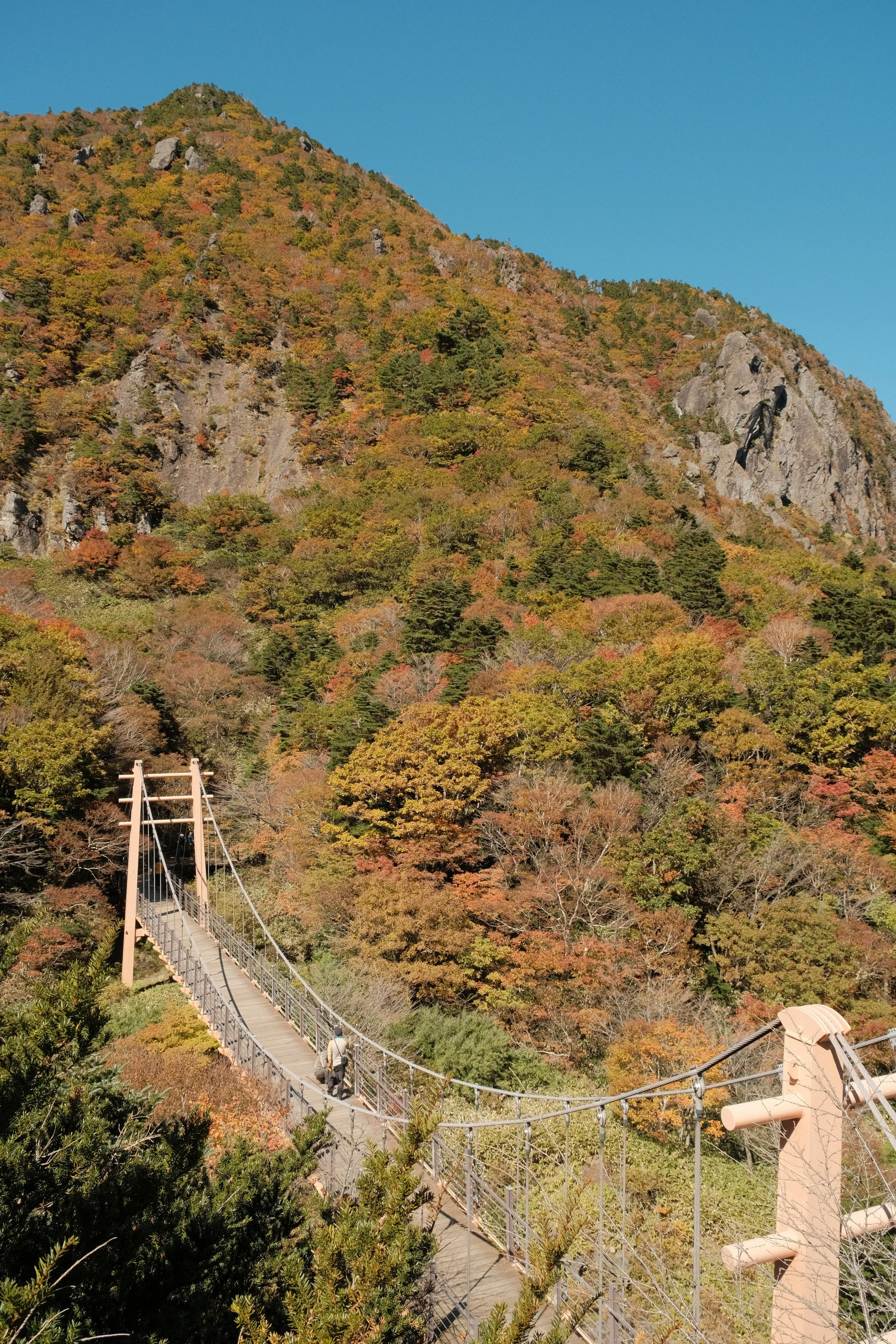 70D90DB4-A036-413C-A320-40BC7FC52AC4-39973-000013B73E82F8E3.JPG