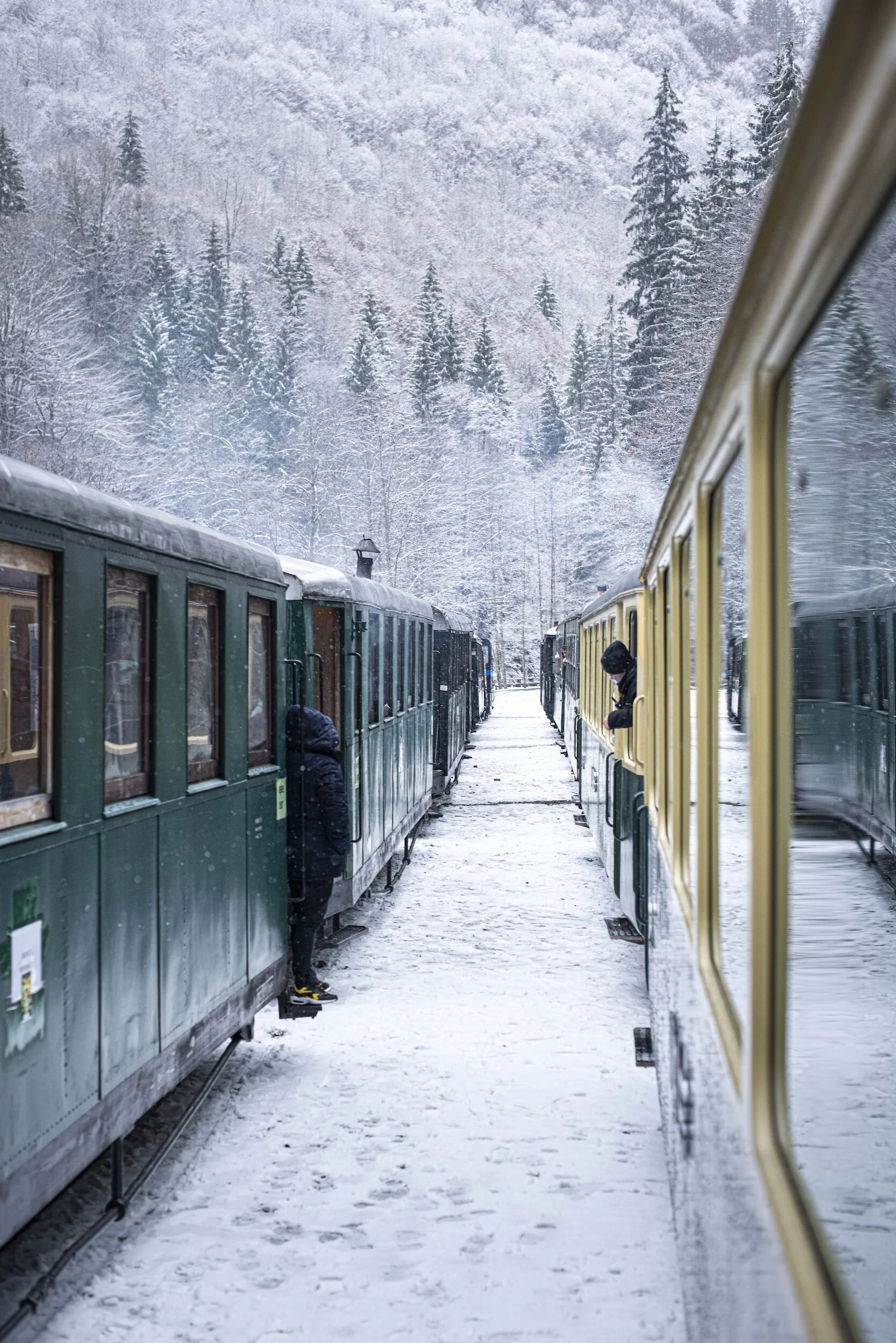 Daily Quiz: The Polar Express 2/10