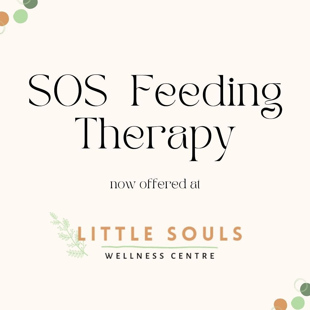 🌱SOS Feeding Therapy now offered at Little Souls (Tweed Heads) 🪴Click the link in our bio to find out how we can support you today. 
📞 Tweed Heads 07 5633 5954
📞 Bangalow 02 5611 5040
✉️ info@littlesoulswellness.com.au

#ot #therapy #occupational