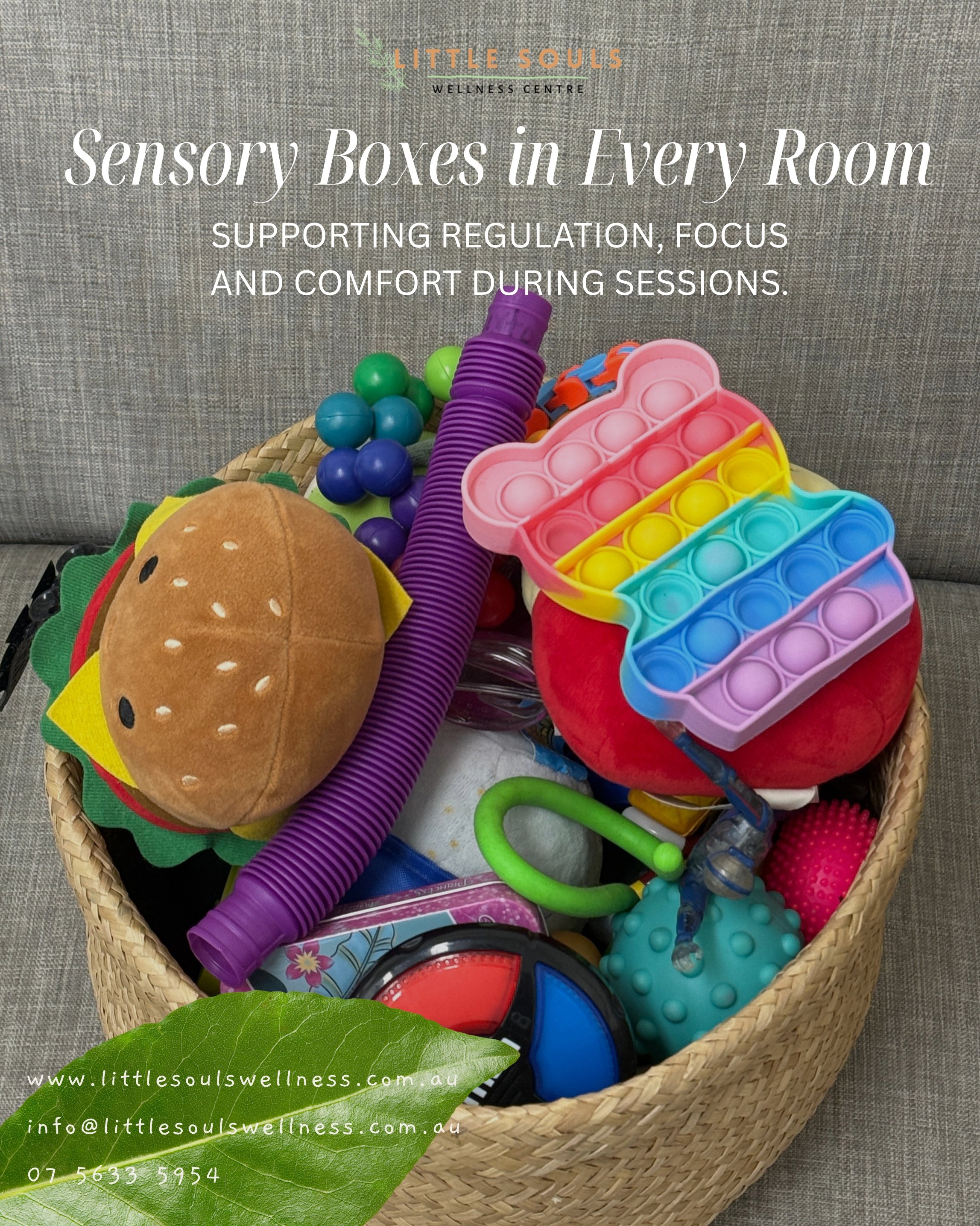 Sensory Tools + Little Souls Wellness cENTRE
