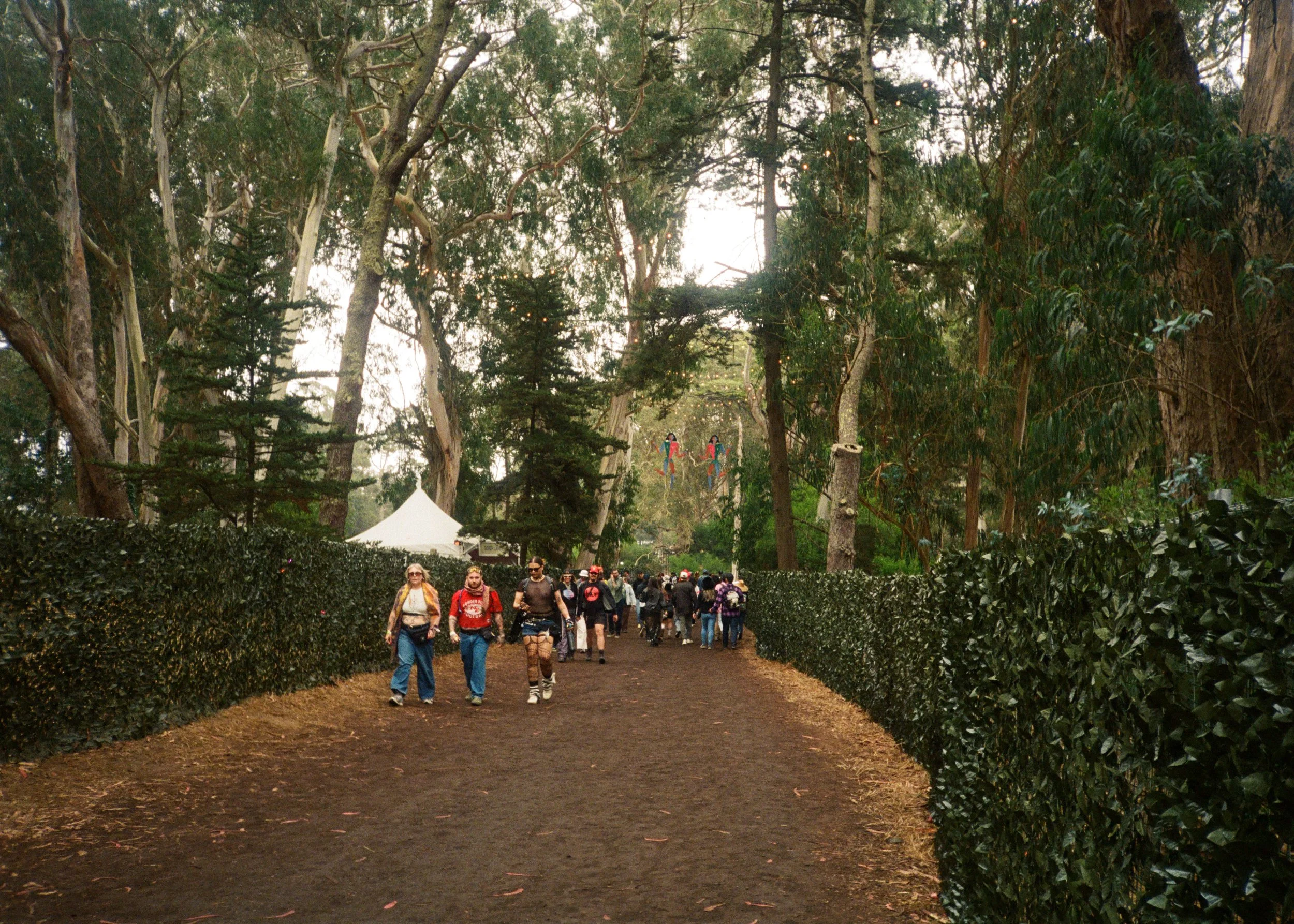 kodak_800_c_41_44342_145509_324568_000069670027.jpg