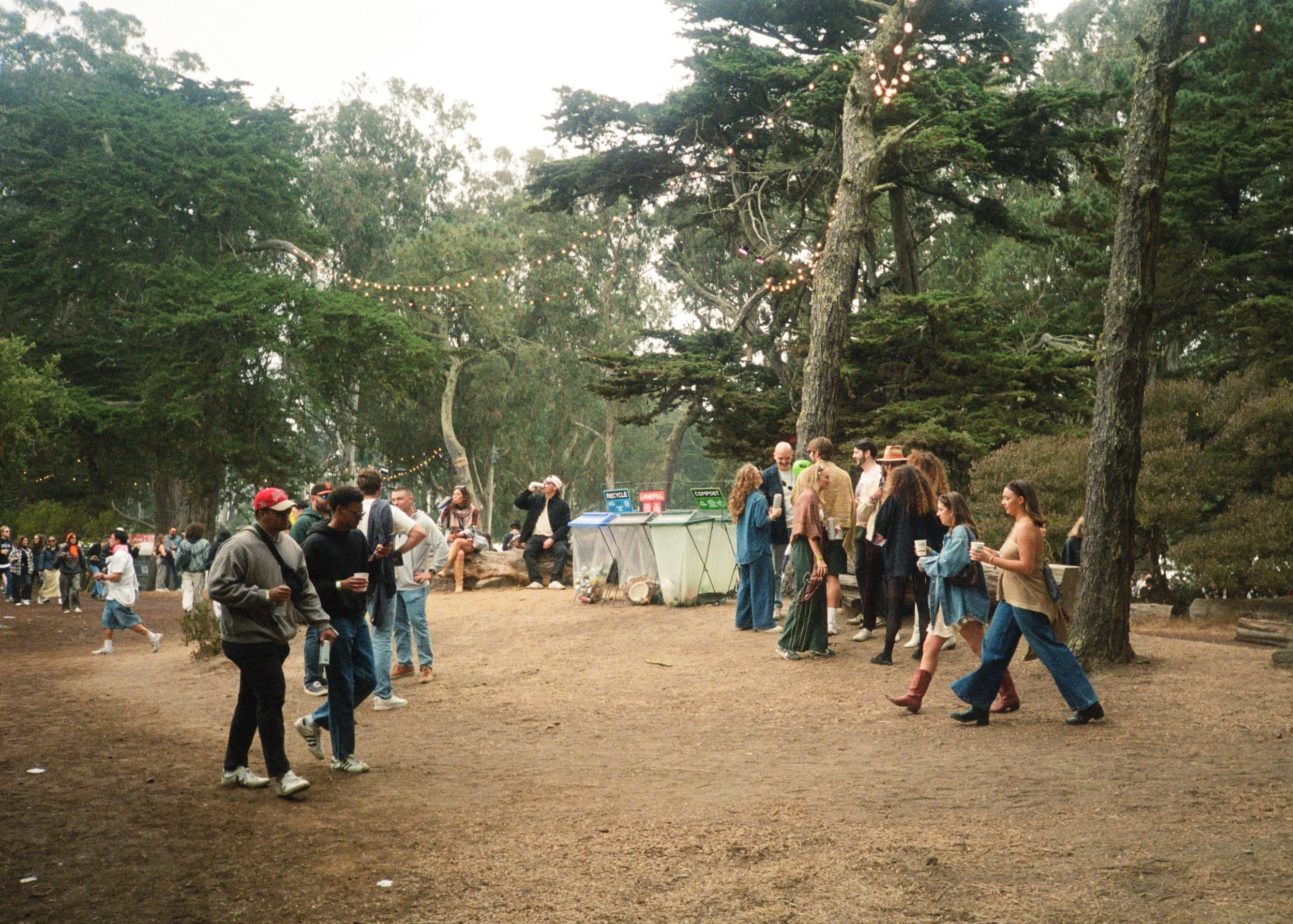 kodak_800_c_41_44342_145509_324564_000069650016.jpg