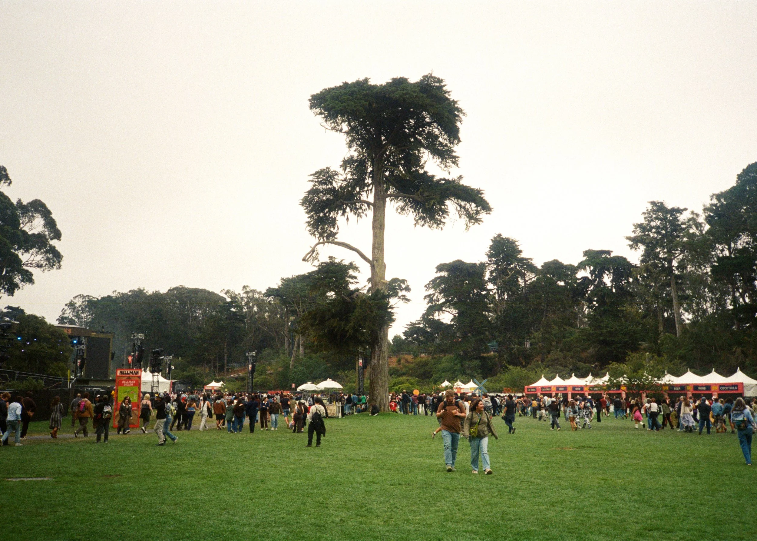 kodak_800_c_41_44342_145509_324564_000069650006.jpg