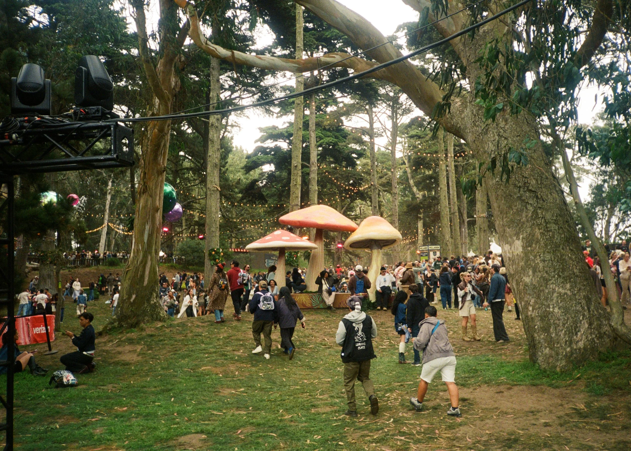 kodak_800_c_41_44342_145509_324564_000069650014.jpg