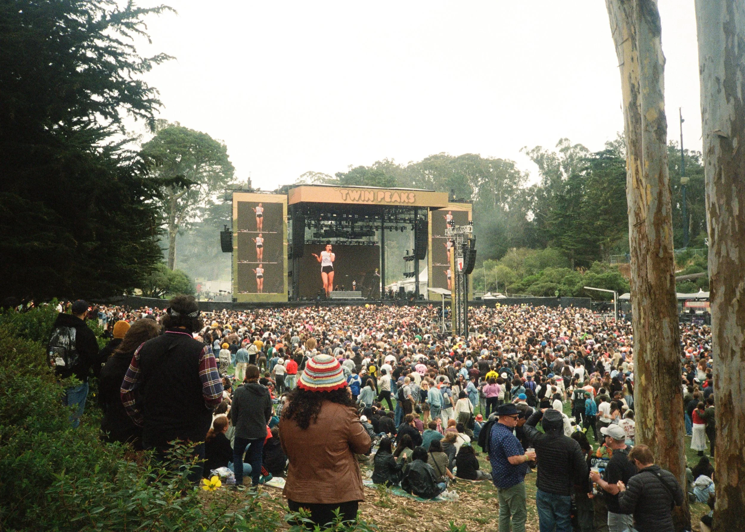 kodak_800_c_41_44342_145509_324564_000069650003.jpg