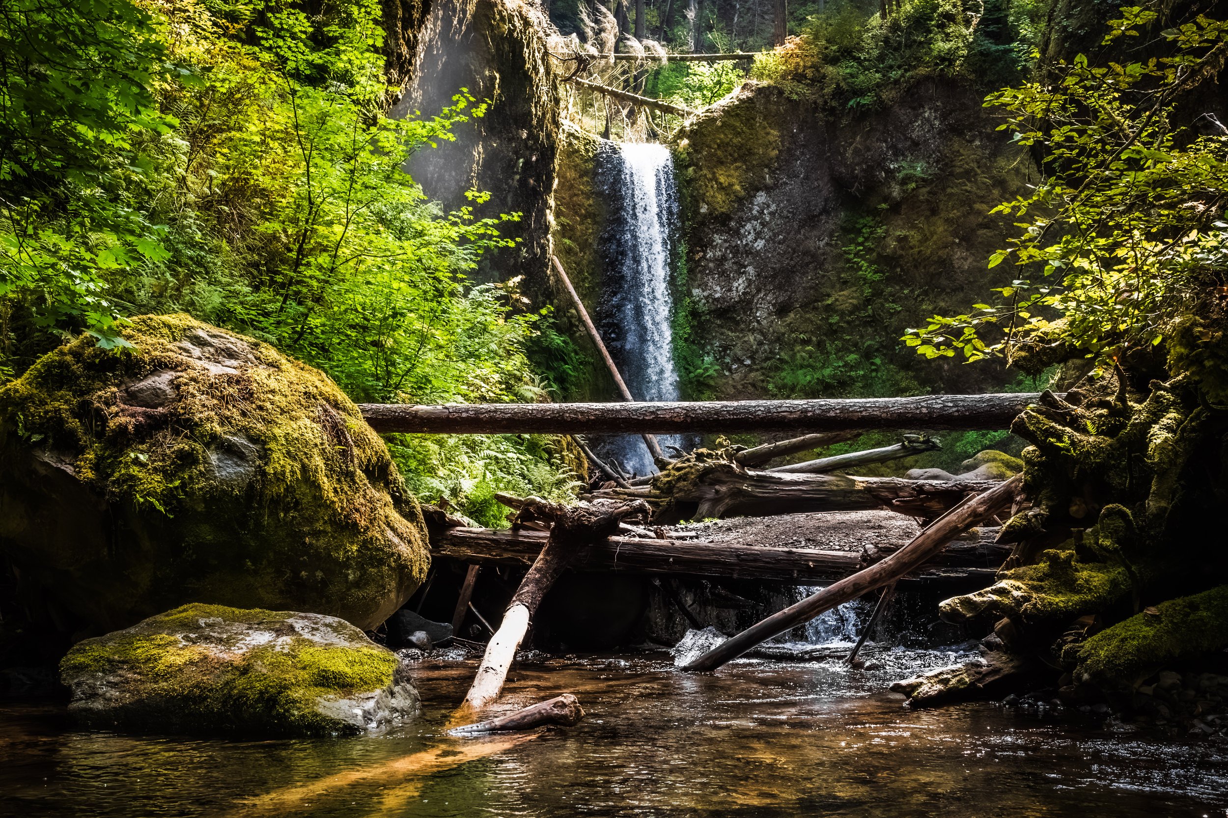 Waterfall surrounded by green rainforest and a glowing pond