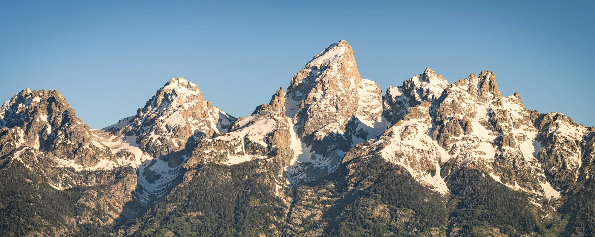 Morning Tetons - Panorama