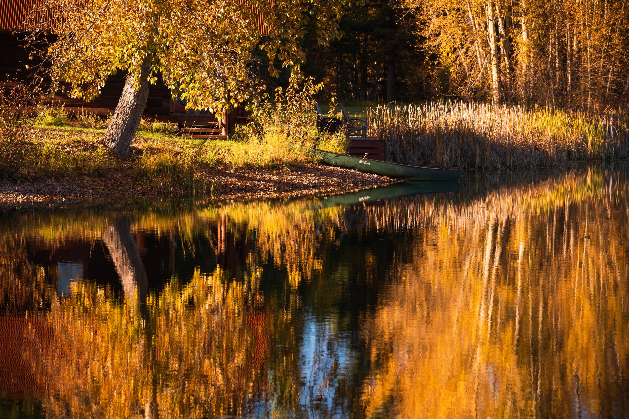 Fall Print with orange trees and a cone reflecting on a body of water