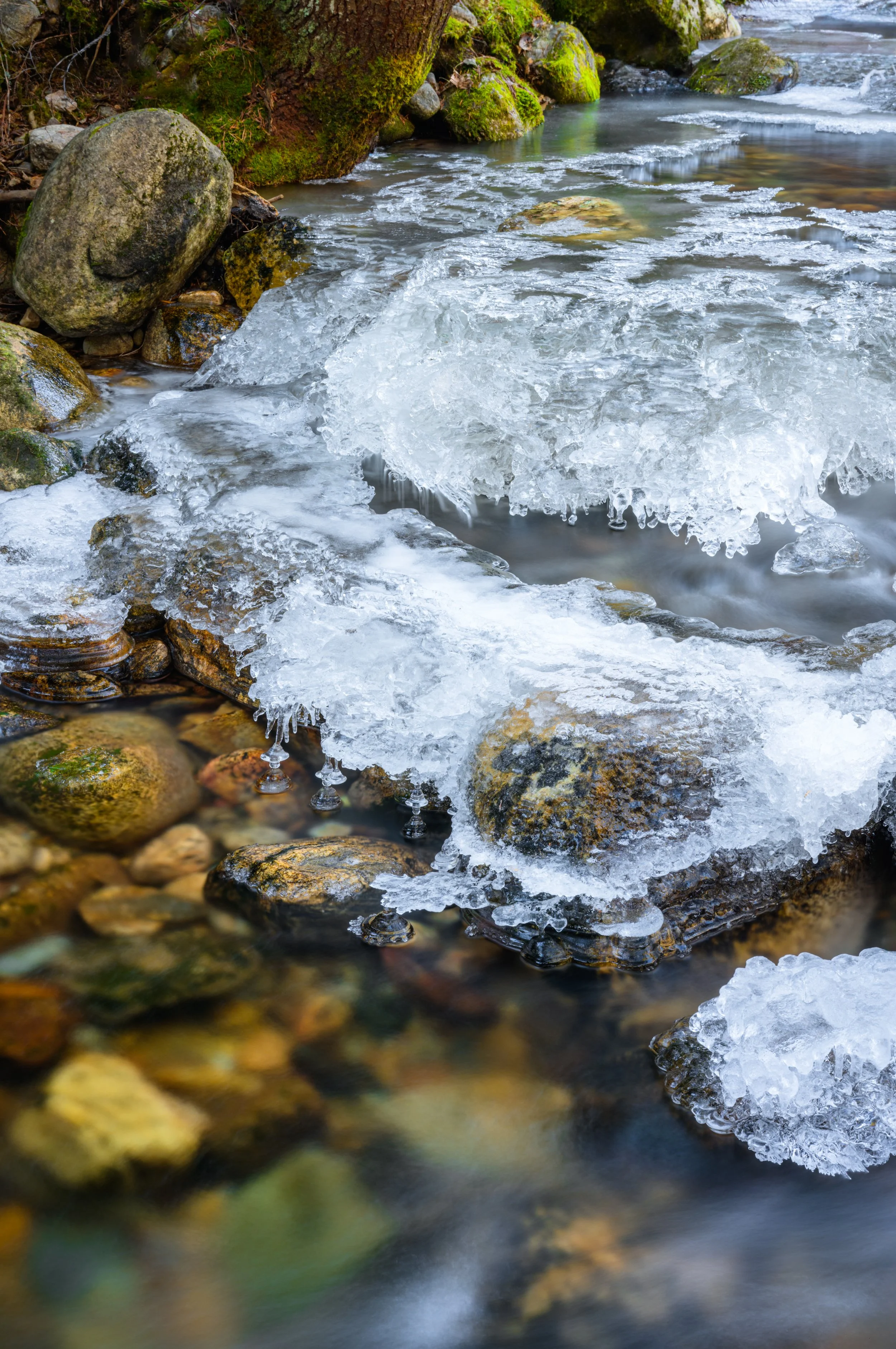 _1AA1783-Edit-1.jpg
