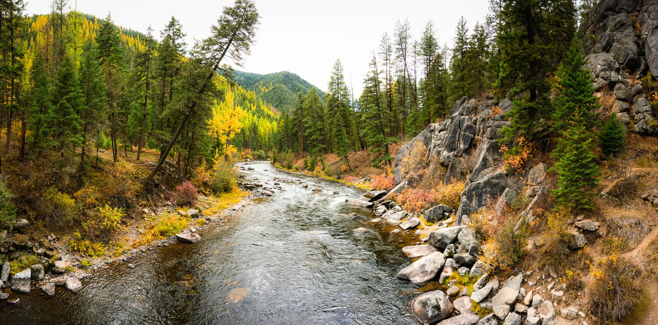 AA6_1196-Edit-Edit.jpg